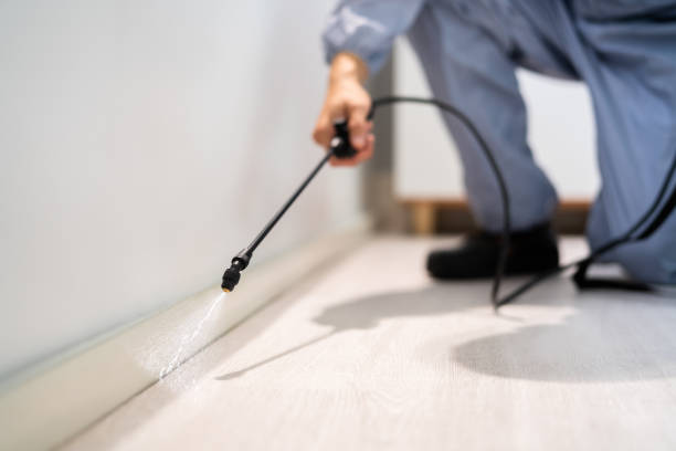 Licensed Fumigation Services service in Wickliffe, OH - Nex Pest Control