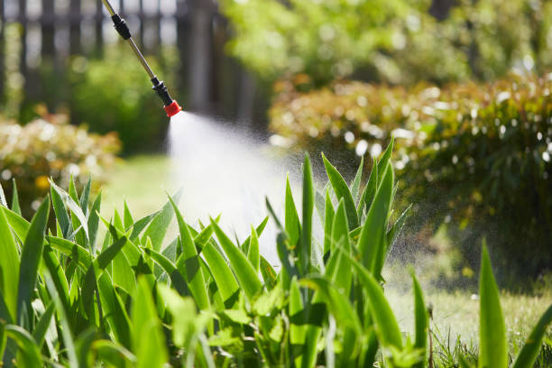 24/7 Emergency Fumigation Services experts in Wickliffe, OH