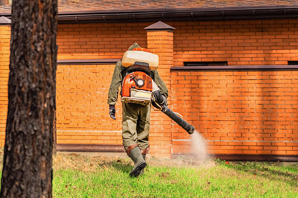 Top rated local Fumigation Services specialists in Wickliffe, OH